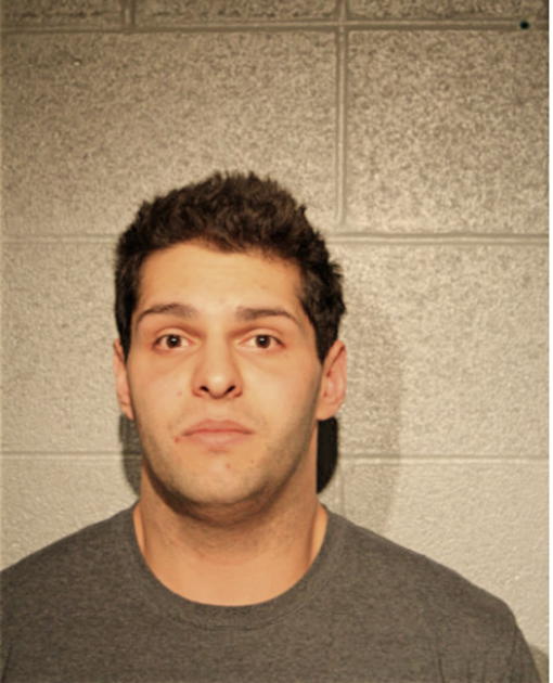 CHRISTOPHER P FERNANDEZ, Cook County, Illinois