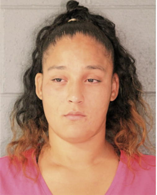 VANESSA M FERNANDEZ, Cook County, Illinois