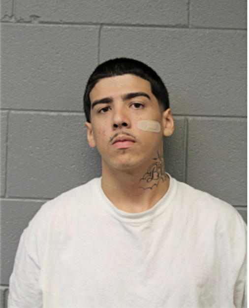 CARLOS E FIGUEROA, Cook County, Illinois