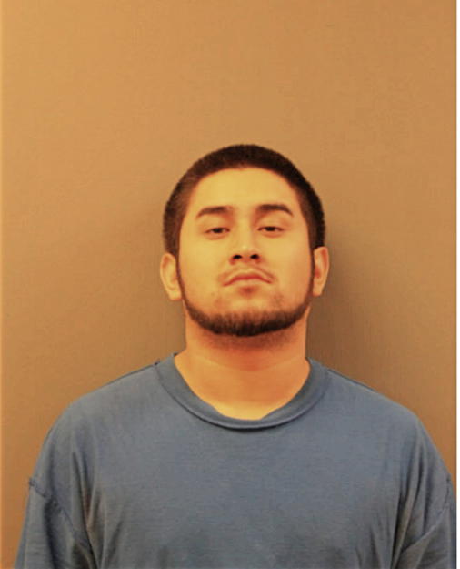 ENRIQUE FLORES, Cook County, Illinois