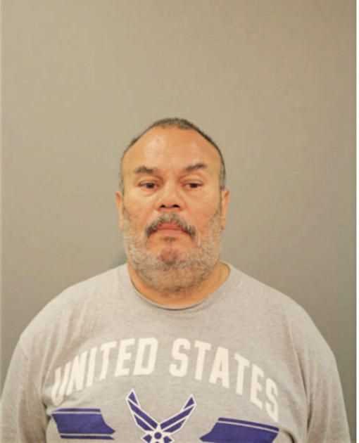 HECTOR R FLORES, Cook County, Illinois