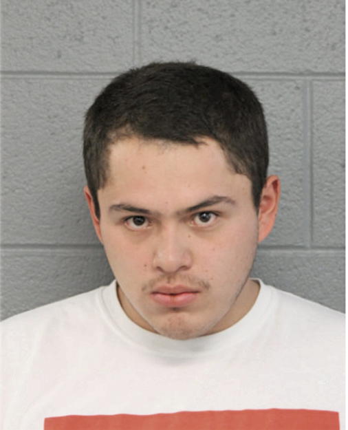 JOVANNI ALEXIS JAIMES, Cook County, Illinois