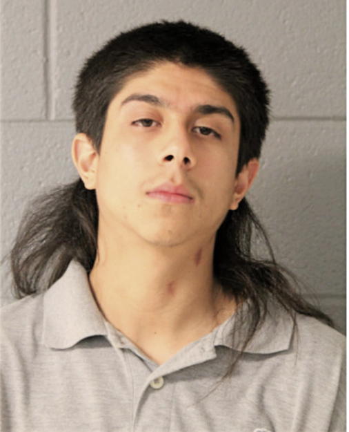 LUIS A JIMENEZ, Cook County, Illinois