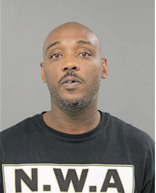 RONALD A JOHNSON, Cook County, Illinois