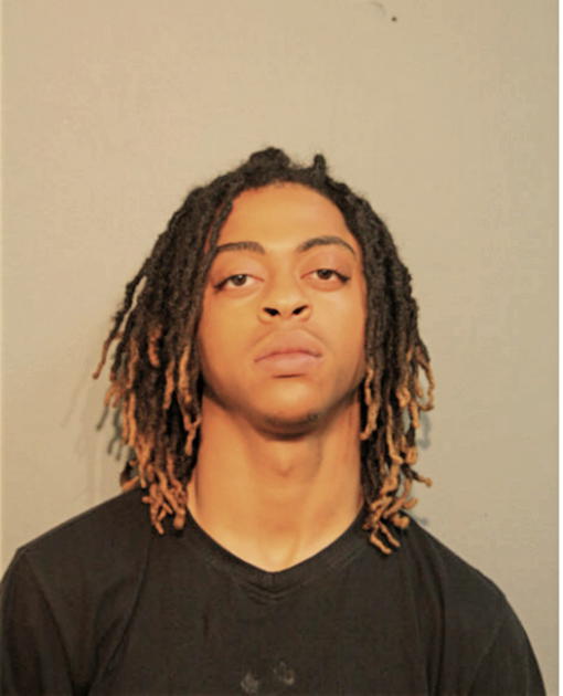 CAMERON M LAND, Cook County, Illinois