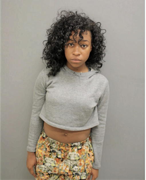 FAIZAH S NICHOLSON, Cook County, Illinois