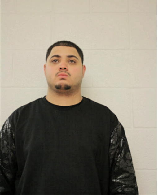 LUIS ORTIZ, Cook County, Illinois