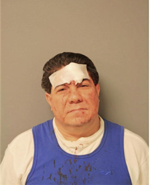 FREDY A PALMA, Cook County, Illinois