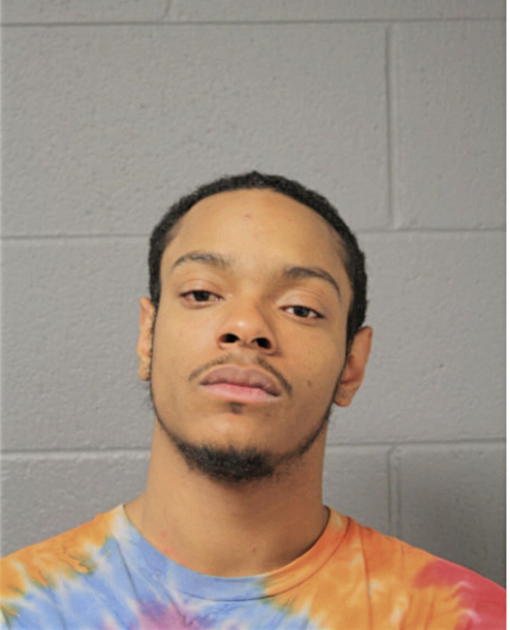 RAPHAEL L RAMOS, Cook County, Illinois