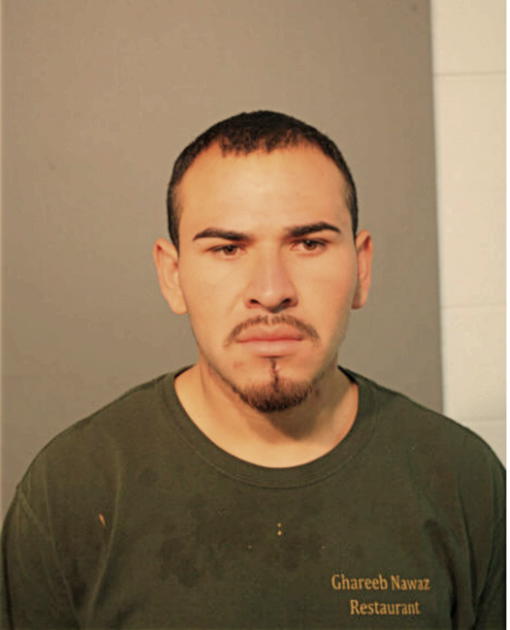 MIGUEL A ROBLEDO, Cook County, Illinois