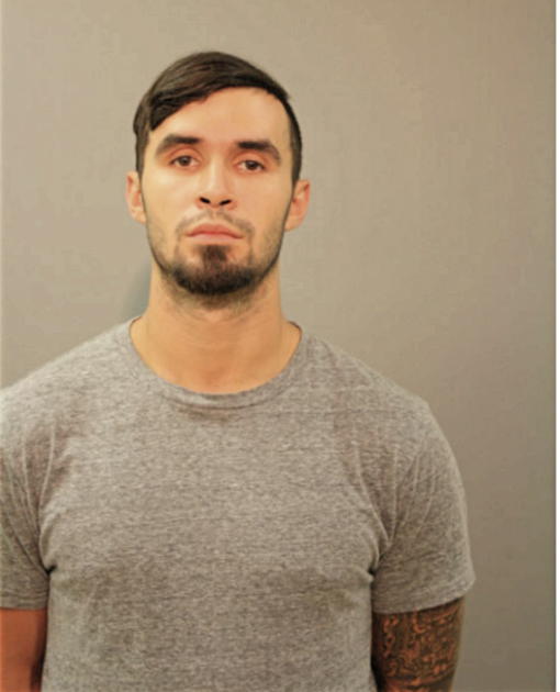 LUIS F RODRIGUEZ, Cook County, Illinois