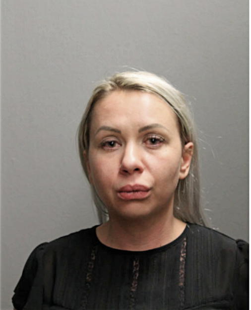 IRINA SACARA, Cook County, Illinois