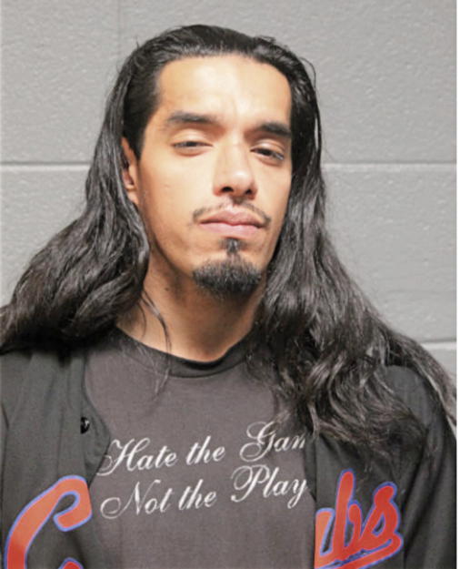 JUAN I SALINAS, Cook County, Illinois