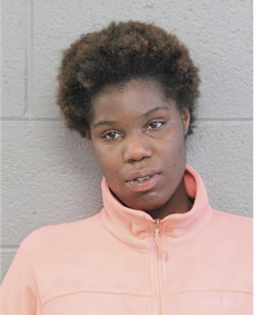 ANGEL L TERRY, Cook County, Illinois