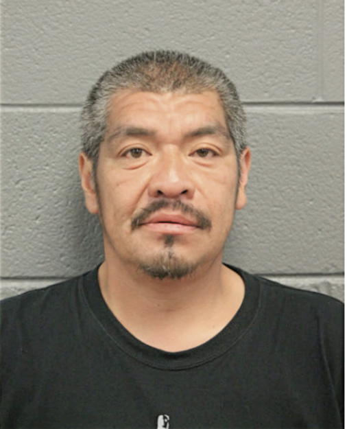 ANDY W GONZALEZ, Cook County, Illinois