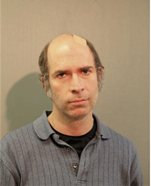 HAROLD S WASSERMAN, Cook County, Illinois