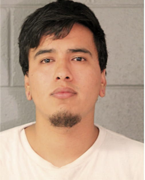 NESTOR WSQUIANO, Cook County, Illinois