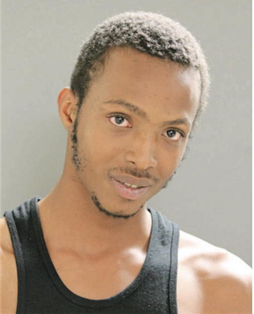 MARTISE D BARNES, Cook County, Illinois