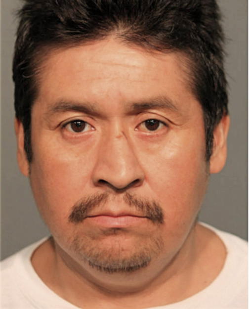 ESTEBAN BOYAS, Cook County, Illinois