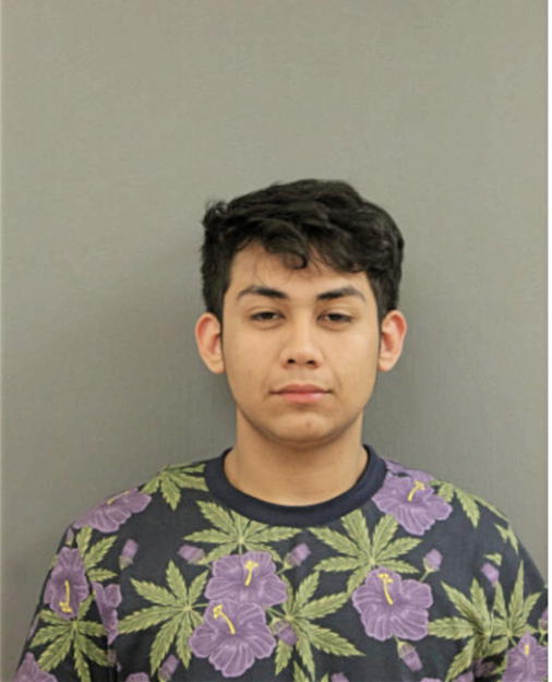 GIOVANNI DELGADO, Cook County, Illinois