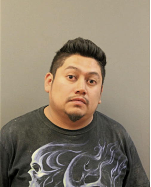 DIEGO GONZALEZ, Cook County, Illinois