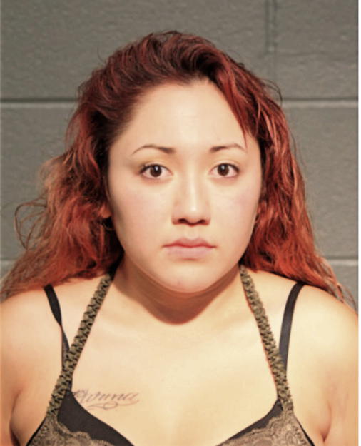 JOCELYNE J HERNANDEZ, Cook County, Illinois