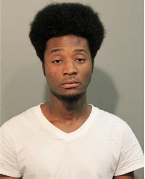 DAWON A JOHNSON, Cook County, Illinois