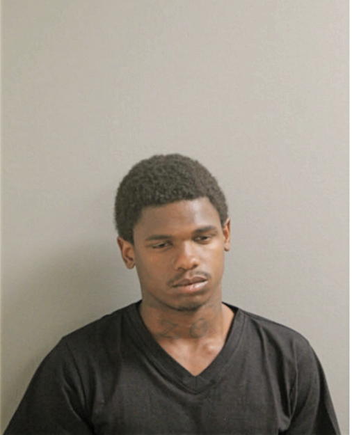 LORENZO G JOHNSON, Cook County, Illinois