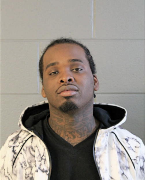 PATRICK L JOHNSON, Cook County, Illinois