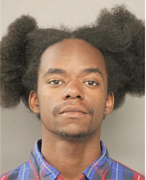 ROBERT J LAWRENCE, Cook County, Illinois