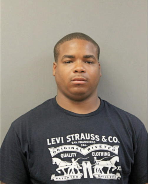 LAZELLE L LOVE, Cook County, Illinois