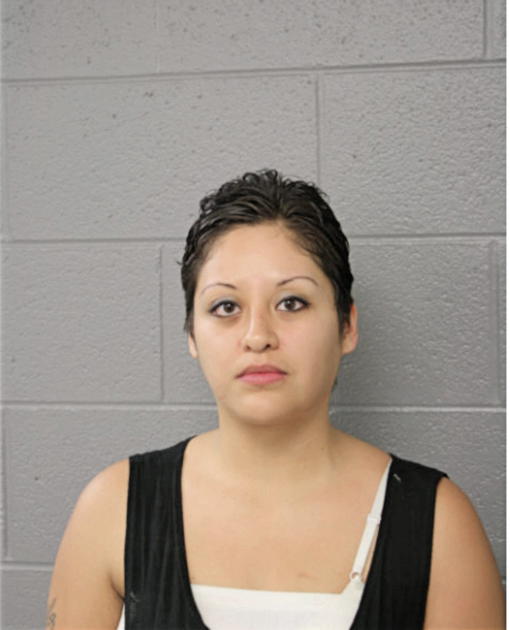 DIANA A MALDONADO, Cook County, Illinois