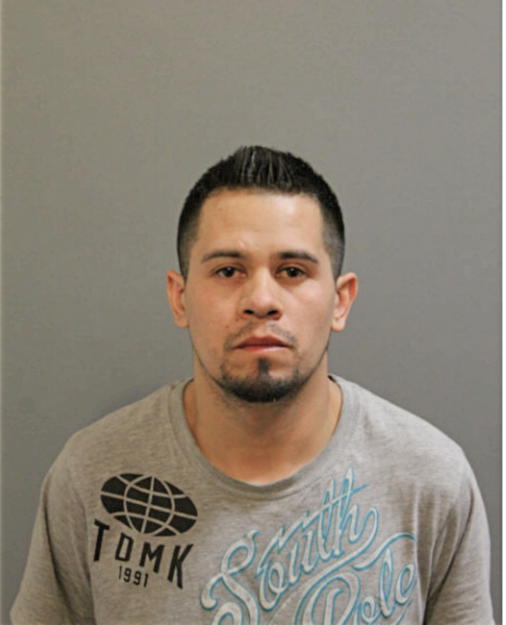 ENRIQUE MARTINEZ-LOPEZ, Cook County, Illinois