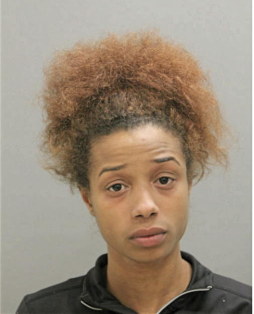 RAVEN L MCCHRISTIAN, Cook County, Illinois