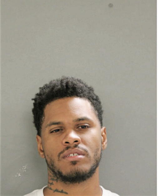 DAVID L MCKINNIE, Cook County, Illinois