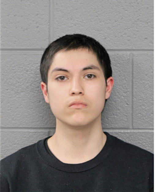 FABIAN MENDOZA, Cook County, Illinois