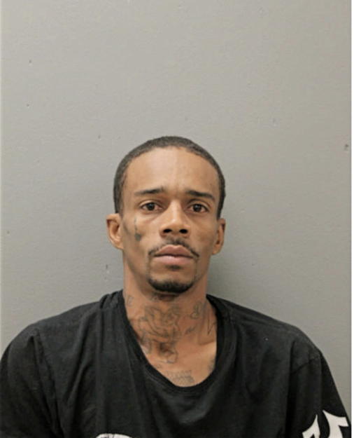 DEREK L NICHOLS, Cook County, Illinois