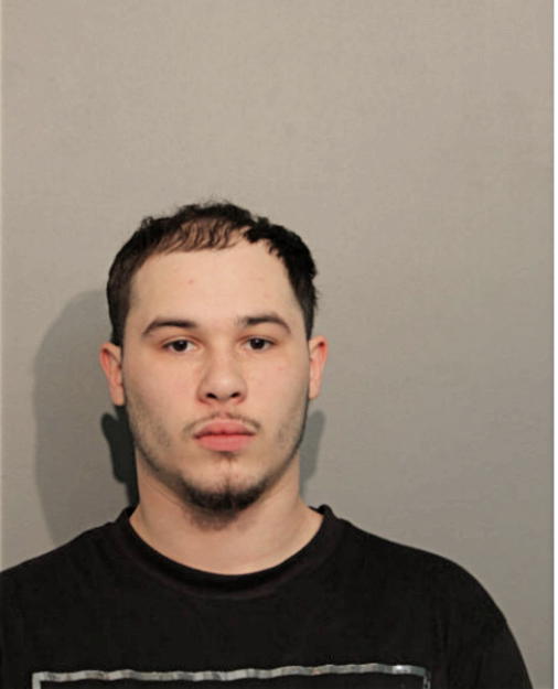 ALEXIS J REYES, Cook County, Illinois