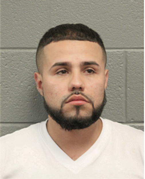 IVAN E RUIZ, Cook County, Illinois