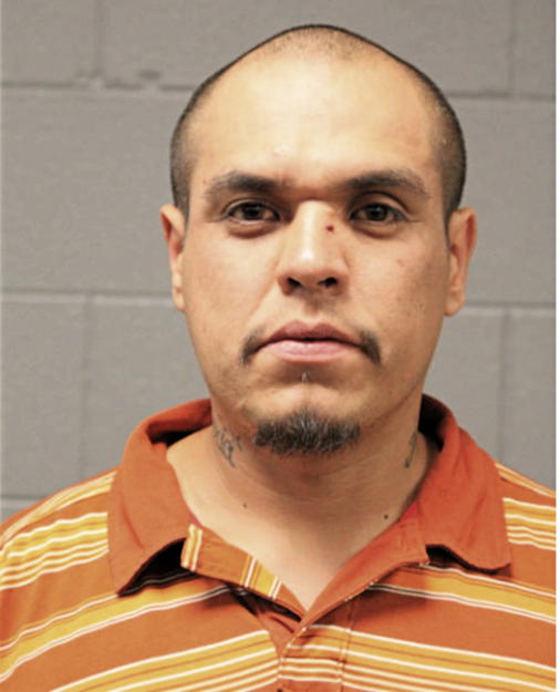 IGNACIO SORIA, Cook County, Illinois