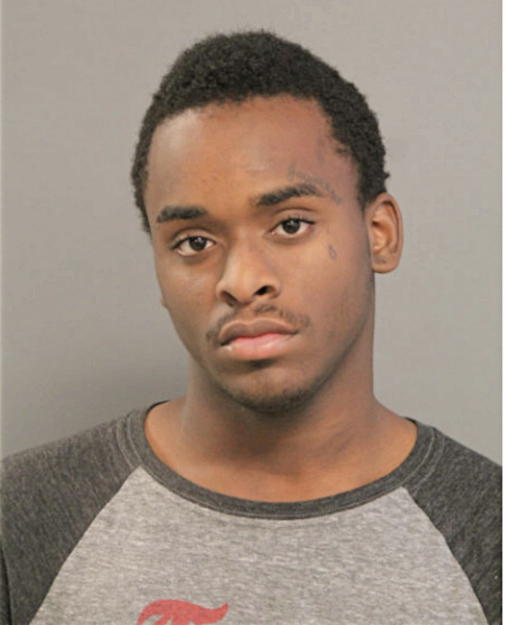 ANDREW A WHITE, Cook County, Illinois