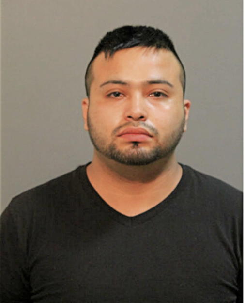 NESTOR ZARATE-ORTEGA, Cook County, Illinois