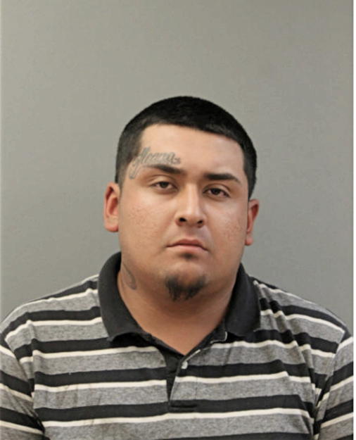 JOSE LUIS ARELLANO, Cook County, Illinois