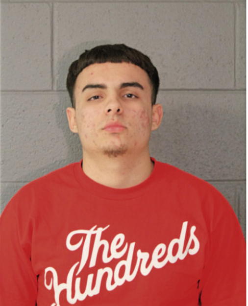 NICHOLAS C COLON, Cook County, Illinois