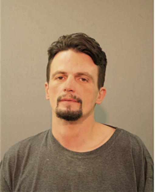 DAVID W COSTA, Cook County, Illinois