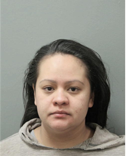 ALMA N CRUZ, Cook County, Illinois