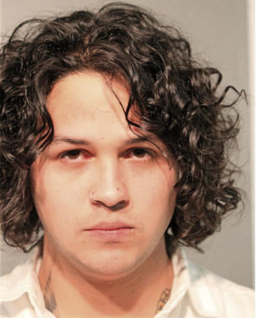 MARK ANTHONY DADAMO, Cook County, Illinois