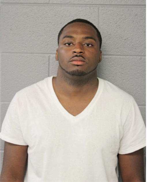 DAVID D FERGUSON, Cook County, Illinois