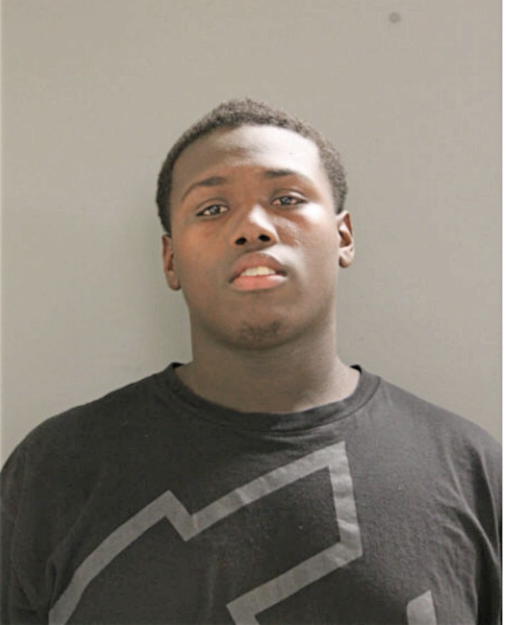 JHEMARI LL GIBSON, Cook County, Illinois