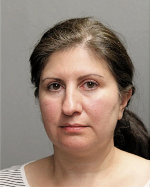 ANDREA J GIULIAN, Cook County, Illinois